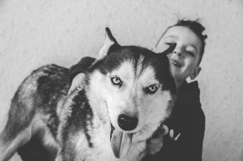 Photograph by Кристина Присакарь