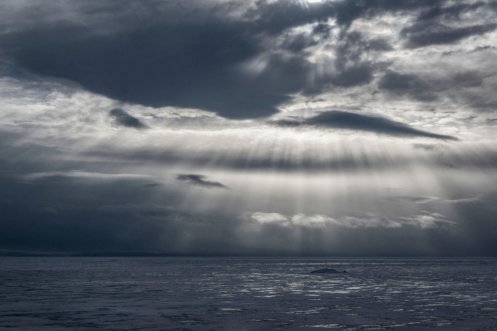 Photograph by Алексей Логинов