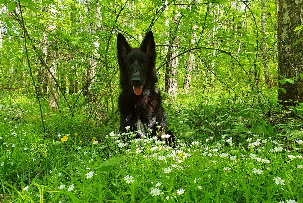 Фотография автора Надежда Лисицына