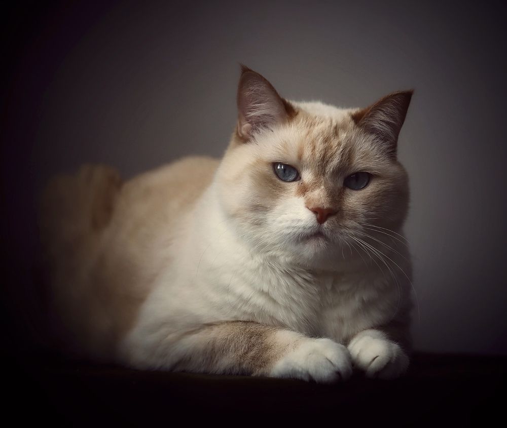 Photograph by Кира Бахвалова