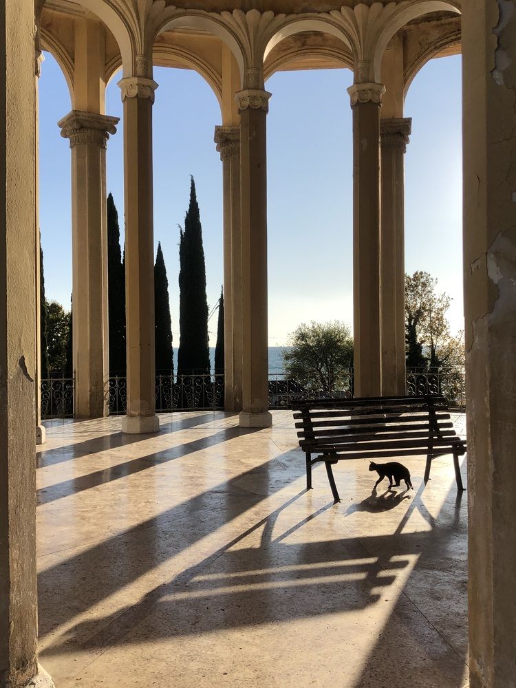 Photograph by Мария Бессмертная