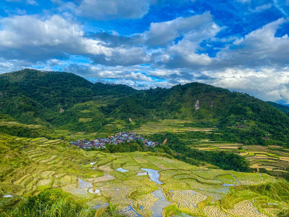 Maligcong Rice Terraces