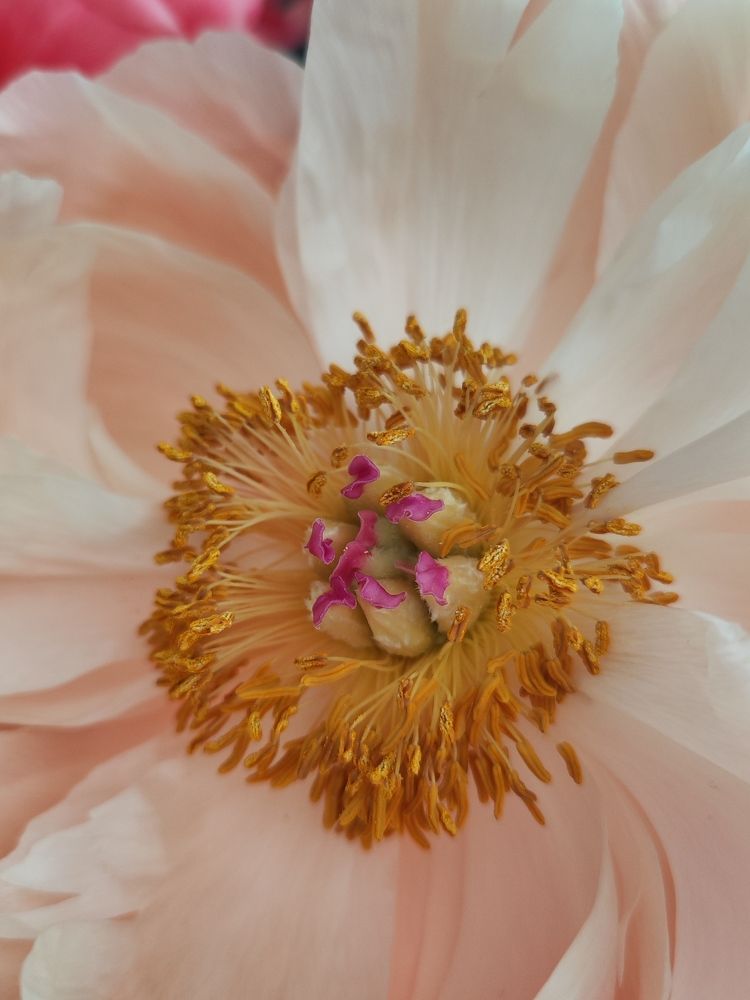 Photograph by Александра