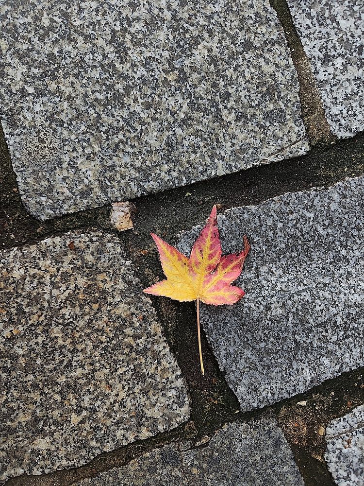 Photograph by Александра