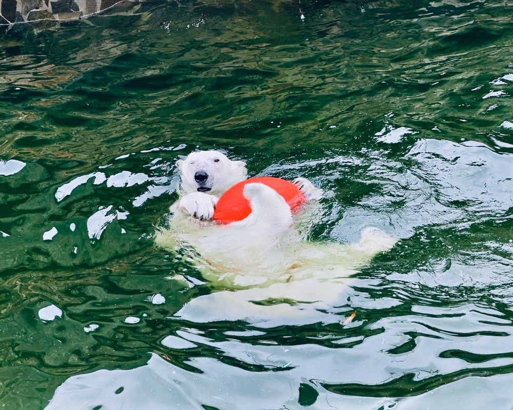 Photograph by Никита Петров