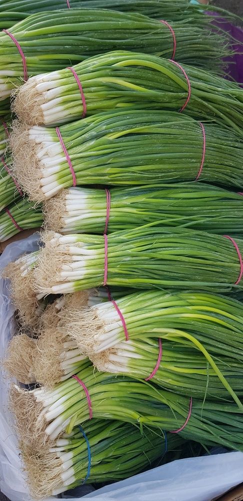 Фотография автора Ольга Мусина