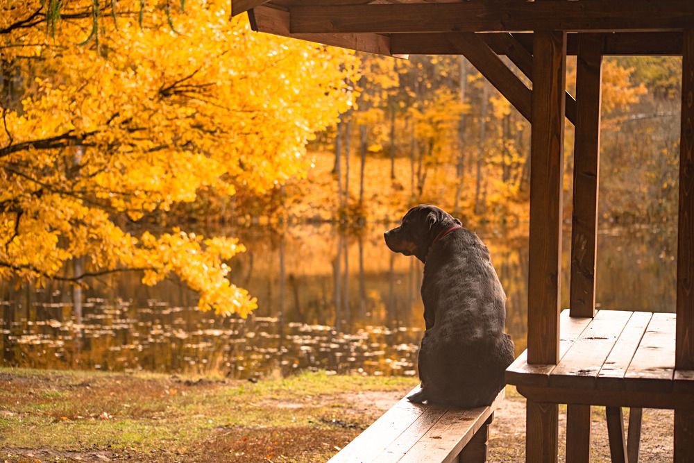 Photograph by Ольга Зинченко