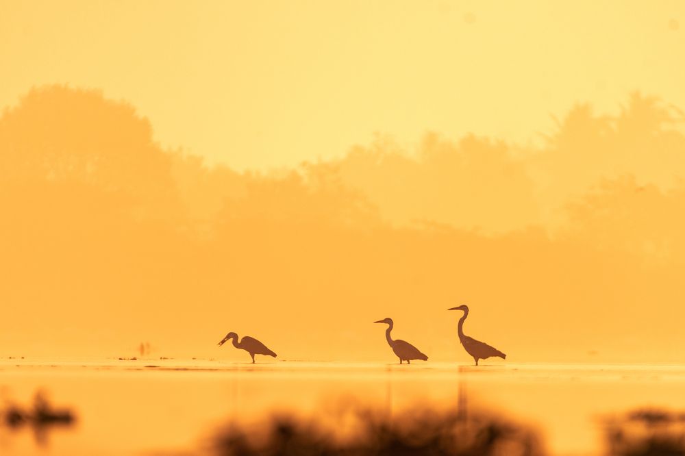 Photograph by Visveswar VK