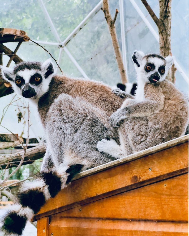 Photograph by Никита Петров