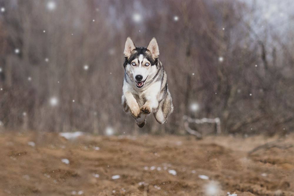 Photograph by Светлана Гущина