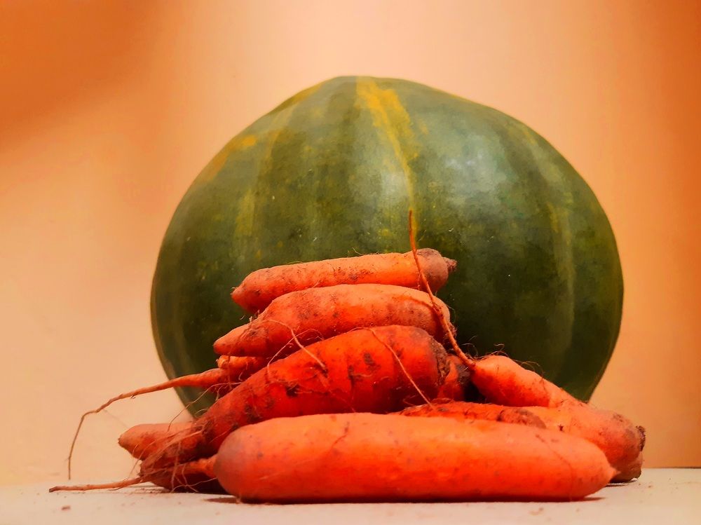 Photograph by Екатерина