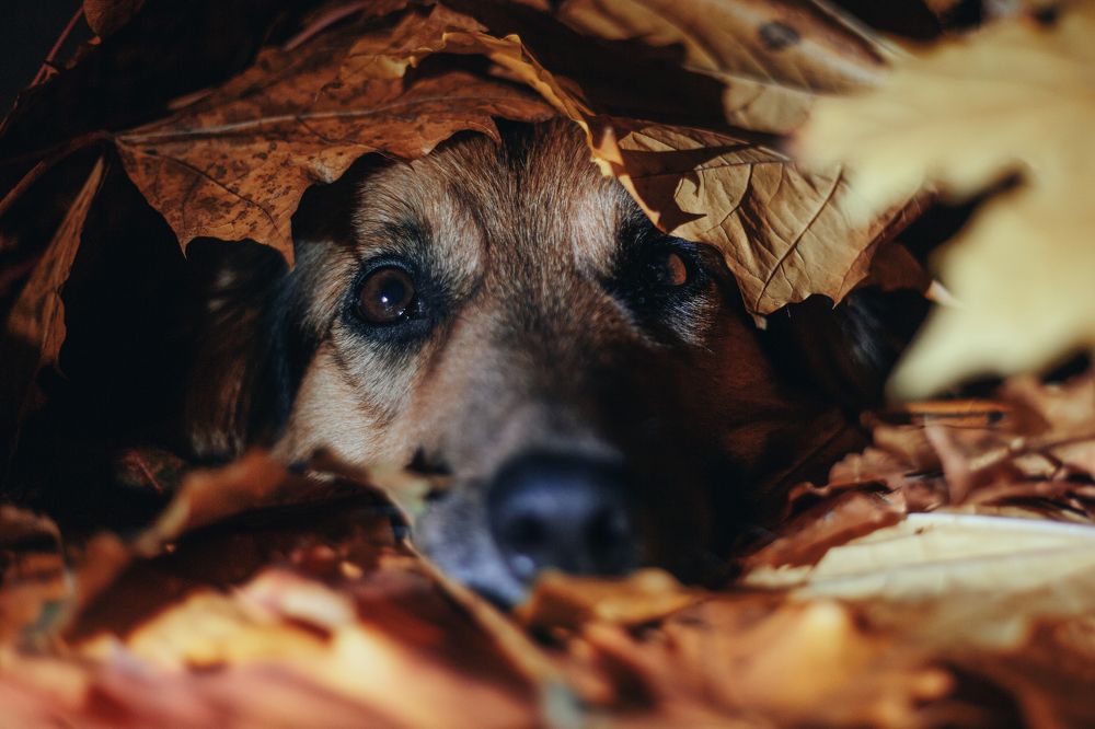 Photograph by Юлия Михайлова