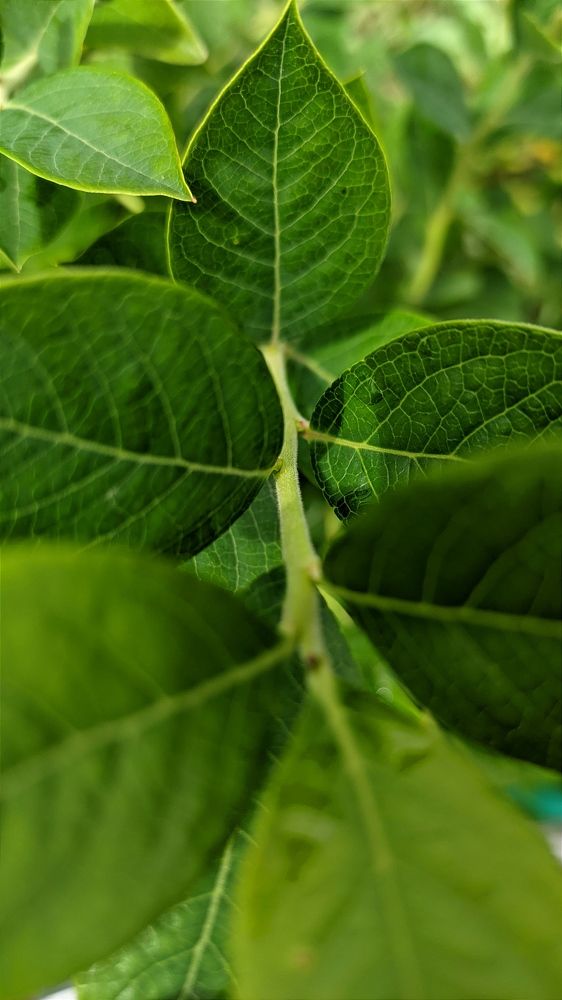 Фотография автора Васильева Ирина