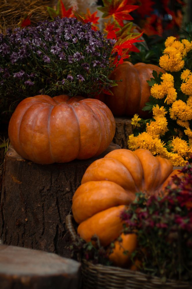 Photograph by Екатерина Мурсынина