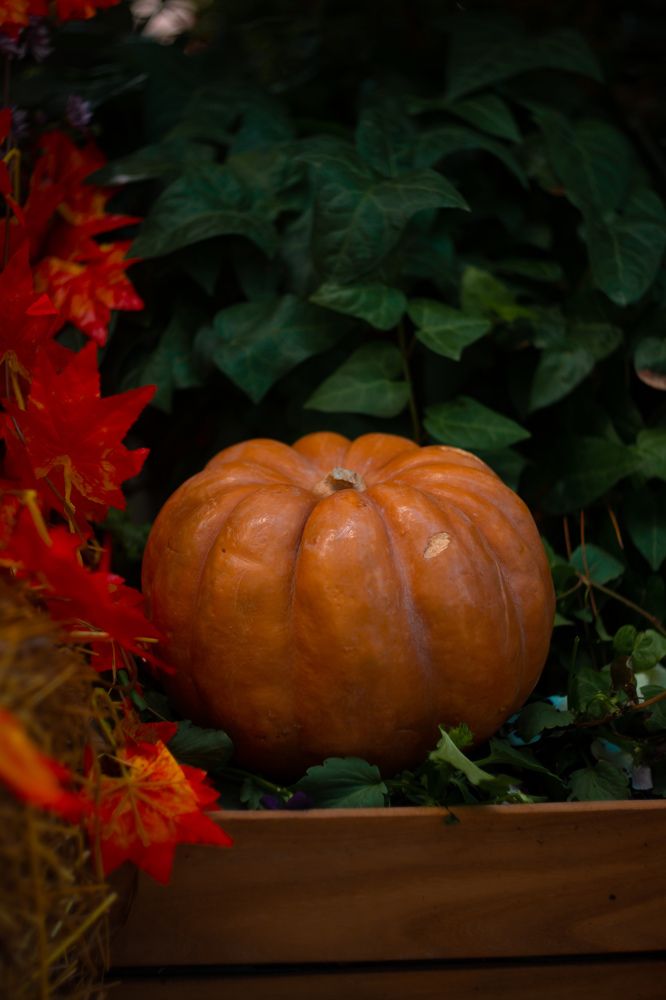 Photograph by Екатерина Мурсынина