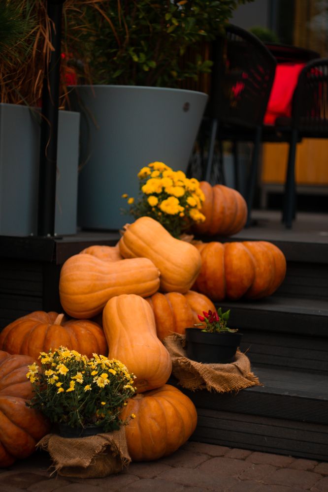 Photograph by Екатерина Мурсынина