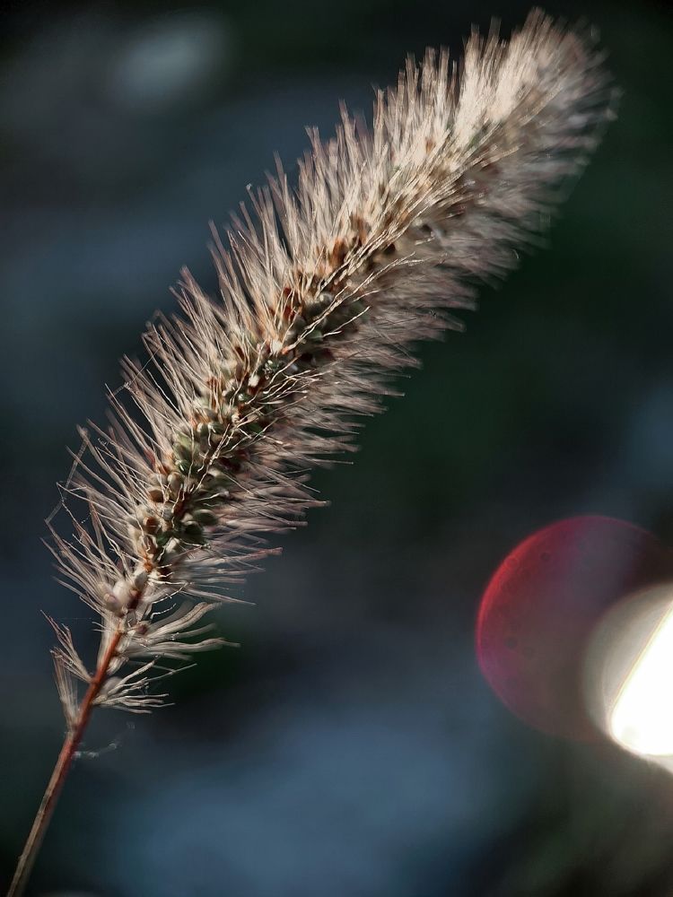 Photograph by Victoria Stoliarenko