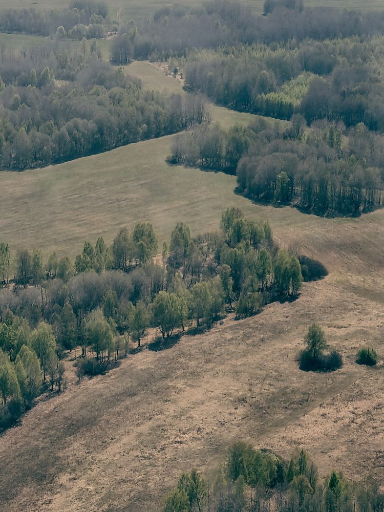 Photograph by Ольга