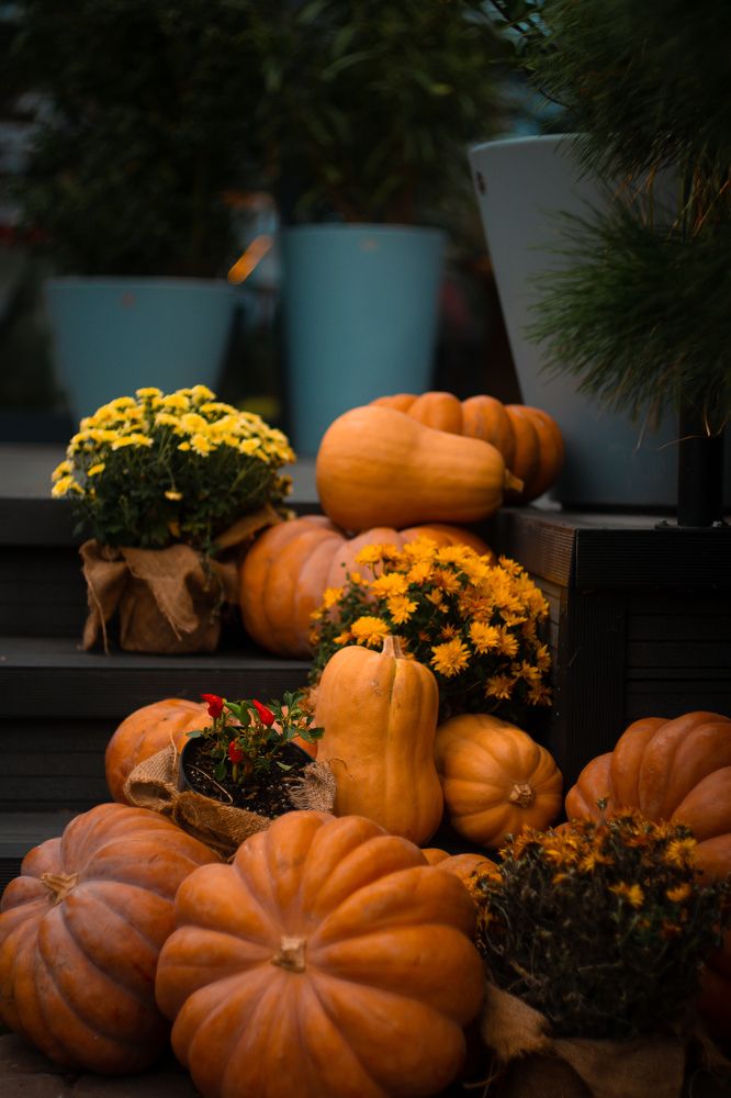 Photograph by Екатерина Мурсынина