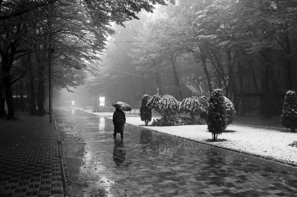 Photograph by 