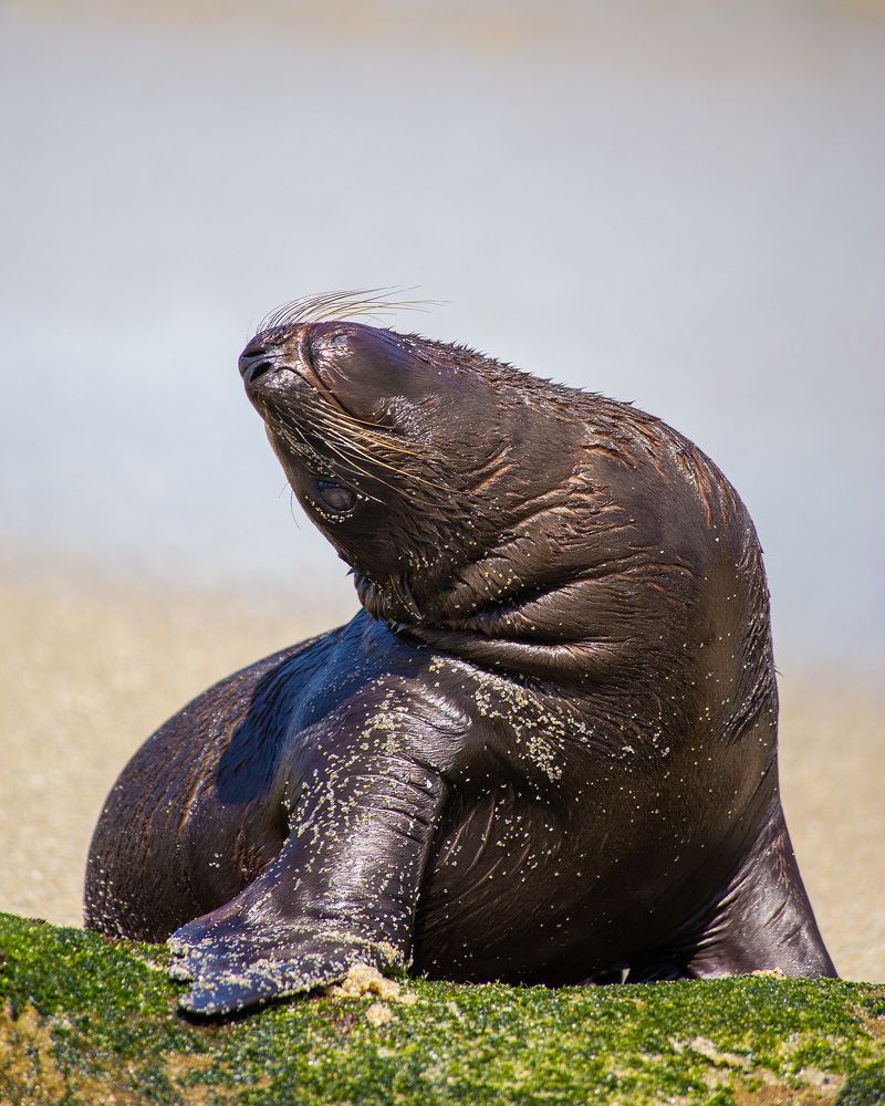 Photograph by Anferow Lana