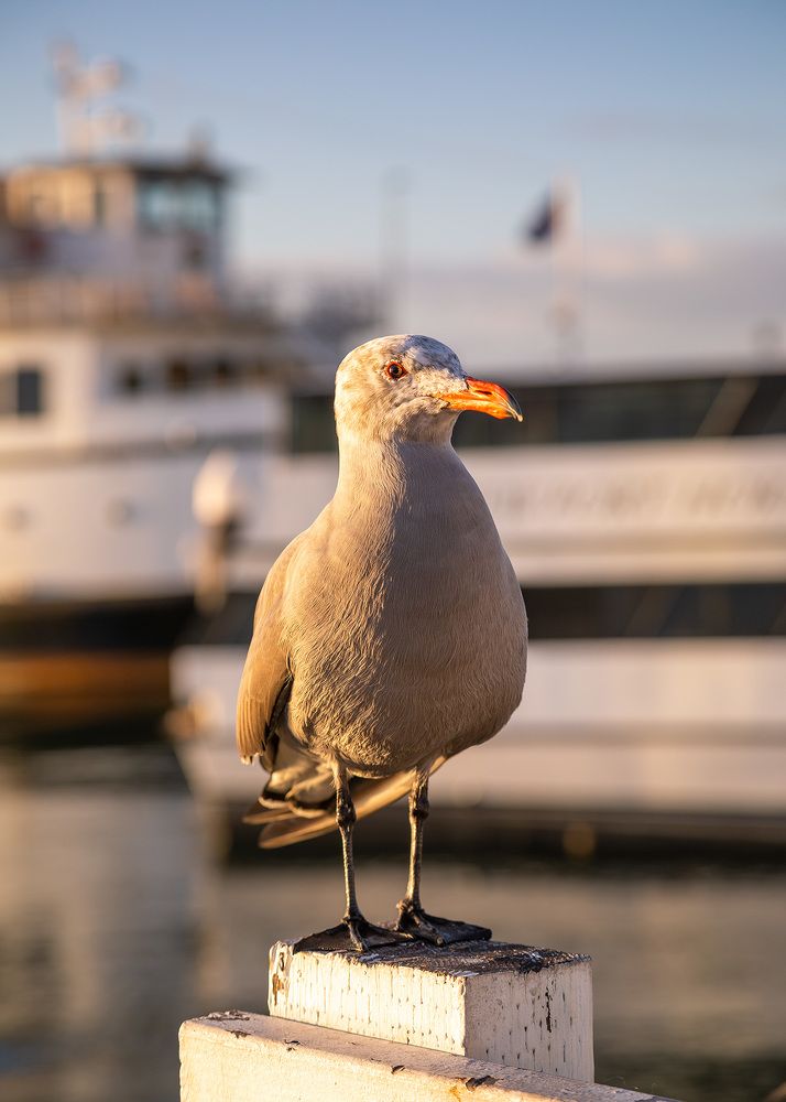 Photograph by Anferow Lana