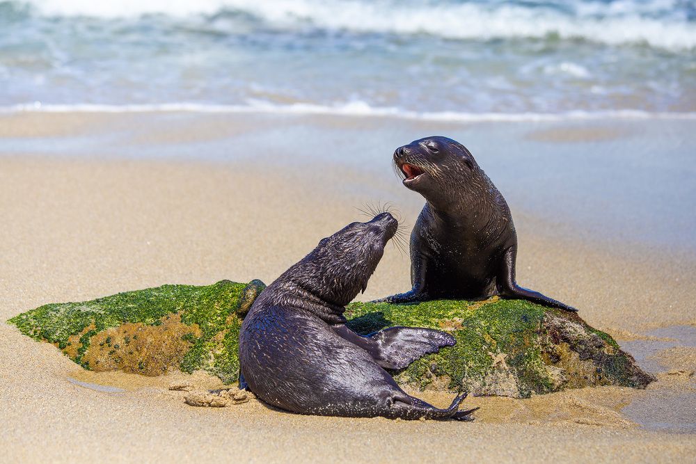 Photograph by Anferow Lana