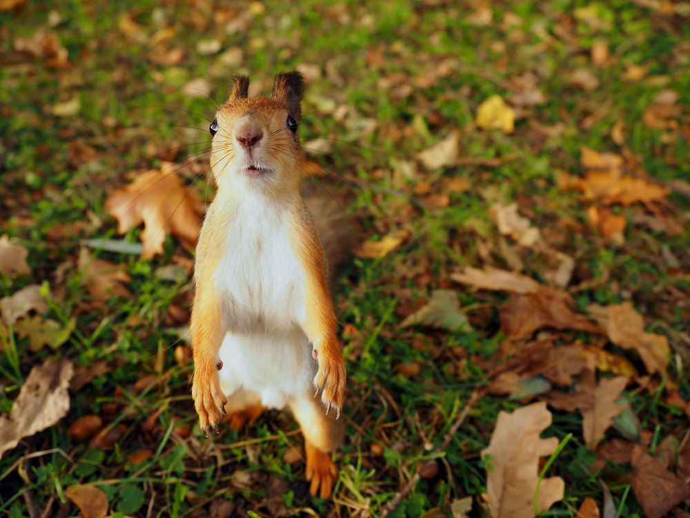 Photograph by Алексей Гнедовский