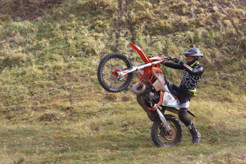 Фотография автора Регина Цыганова