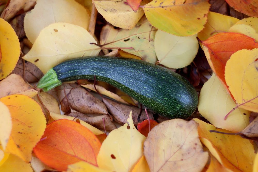 Photograph by Юрий Варюхин