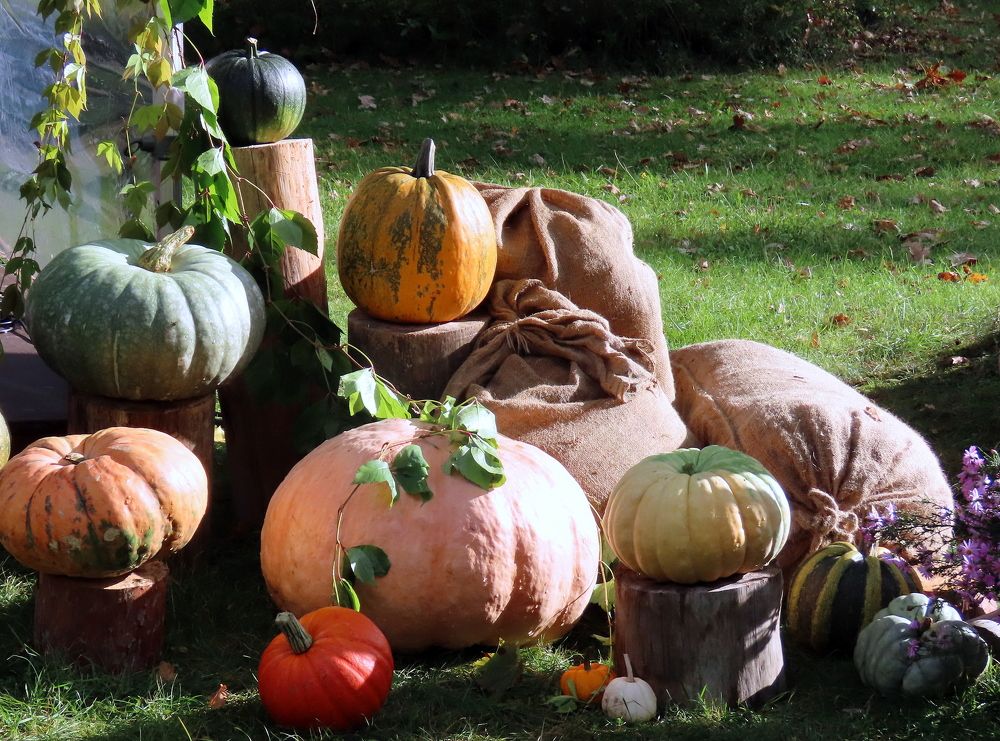 Photograph by Pjotr Alekseev