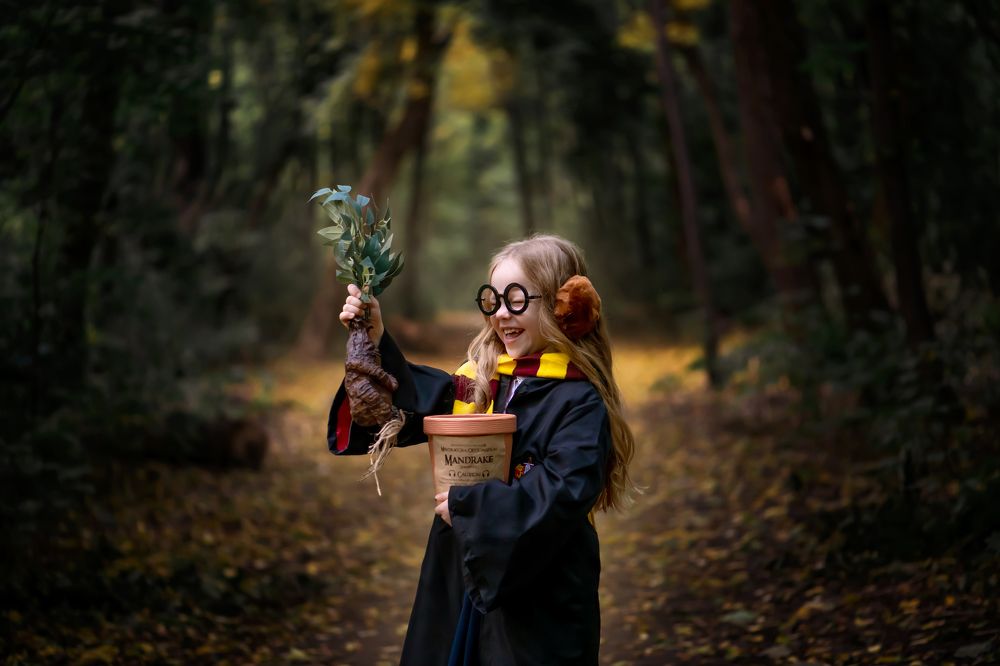 Моя Мандрагора