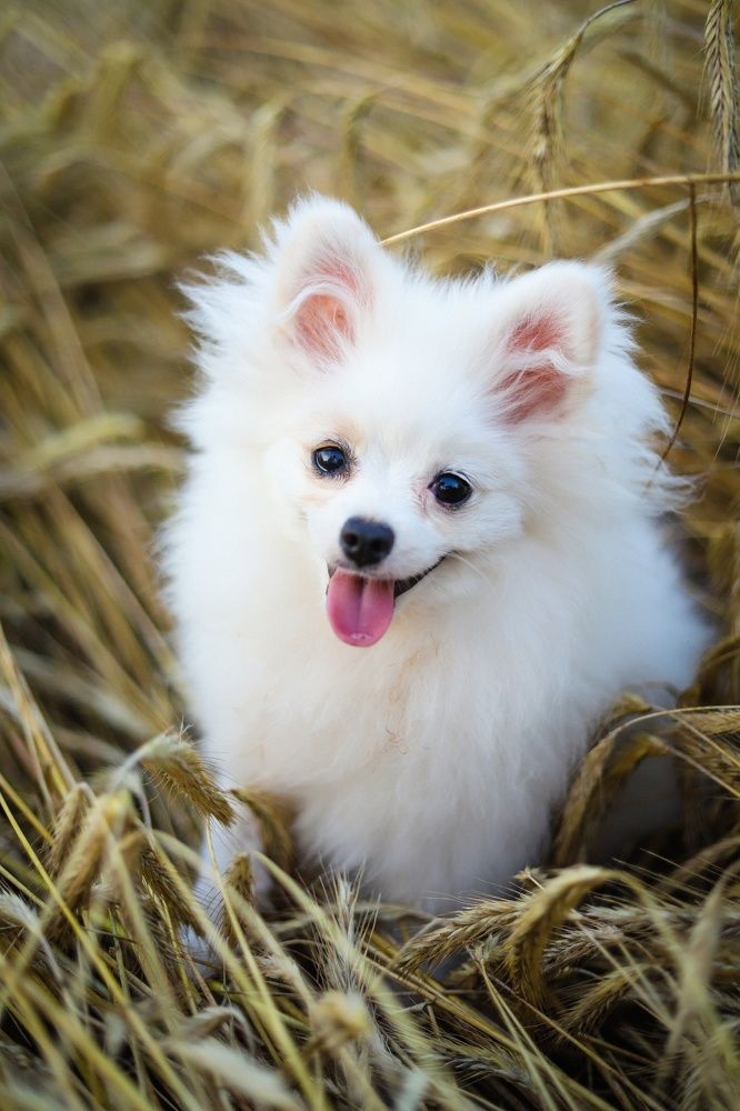 Photograph by Людмила Якурнова