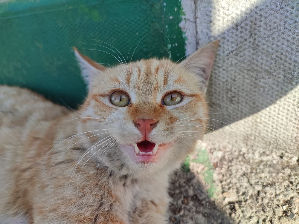 Photograph by mahdi roozbahani