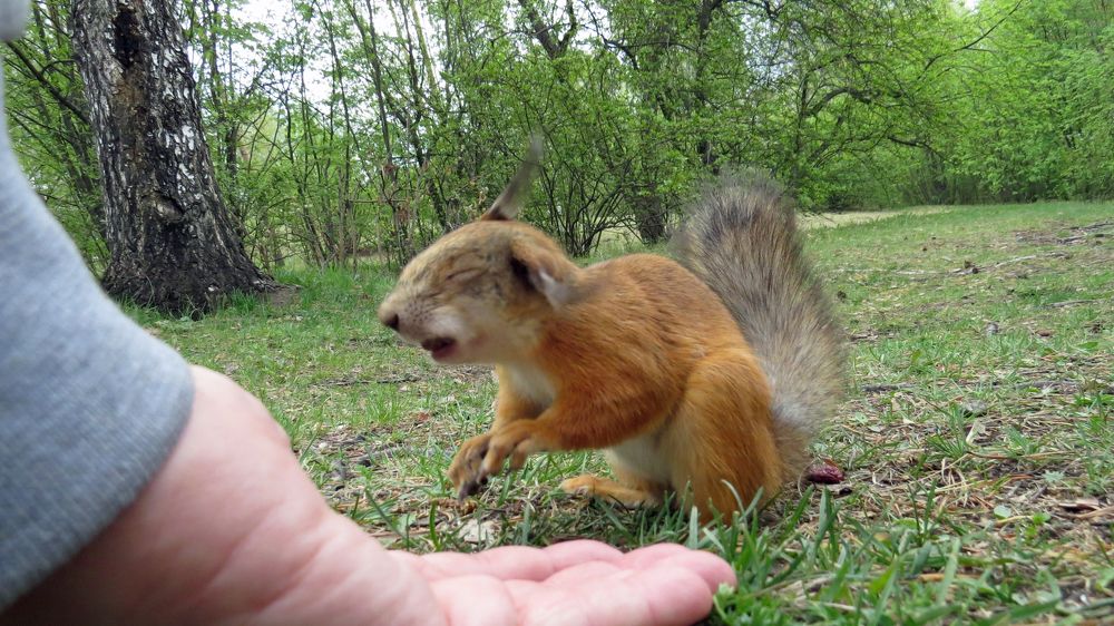 Photograph by Alexsandr Gl