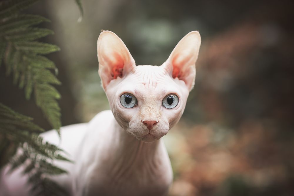 Photograph by GRISELDA FERNANDEZ