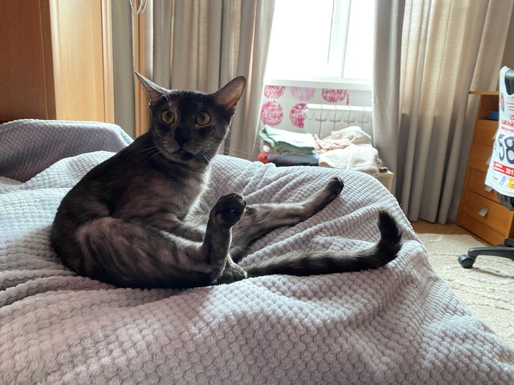 Photograph by Екатерина Амирасланова