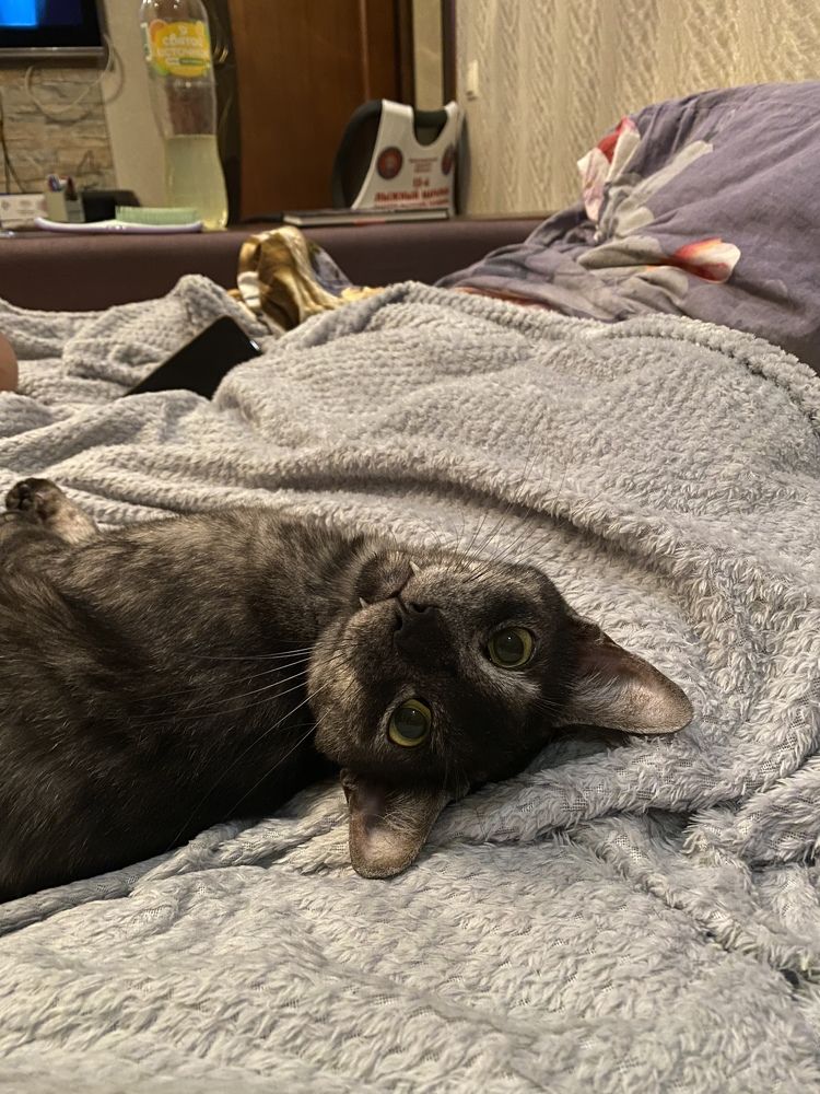 Photograph by Екатерина Амирасланова