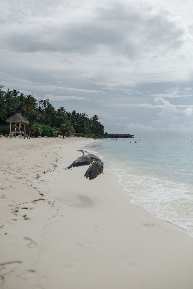 Фотография автора Талах Антонина