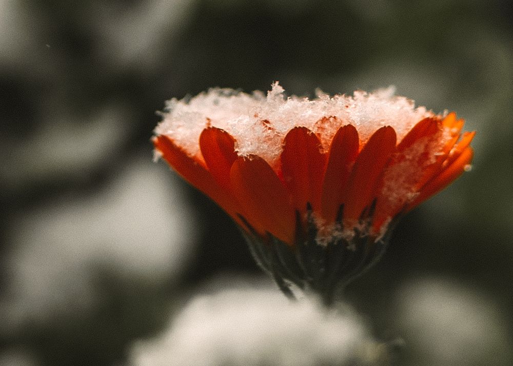 Photograph by Мария Шевченко