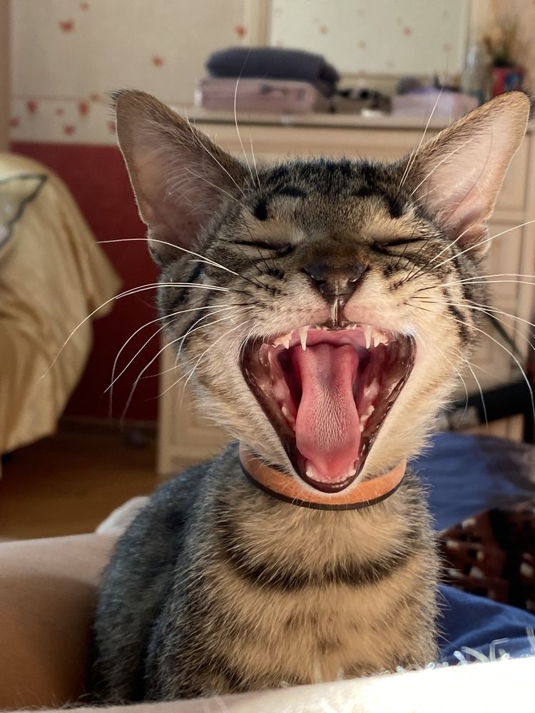 Photograph by Екатерина Амирасланова