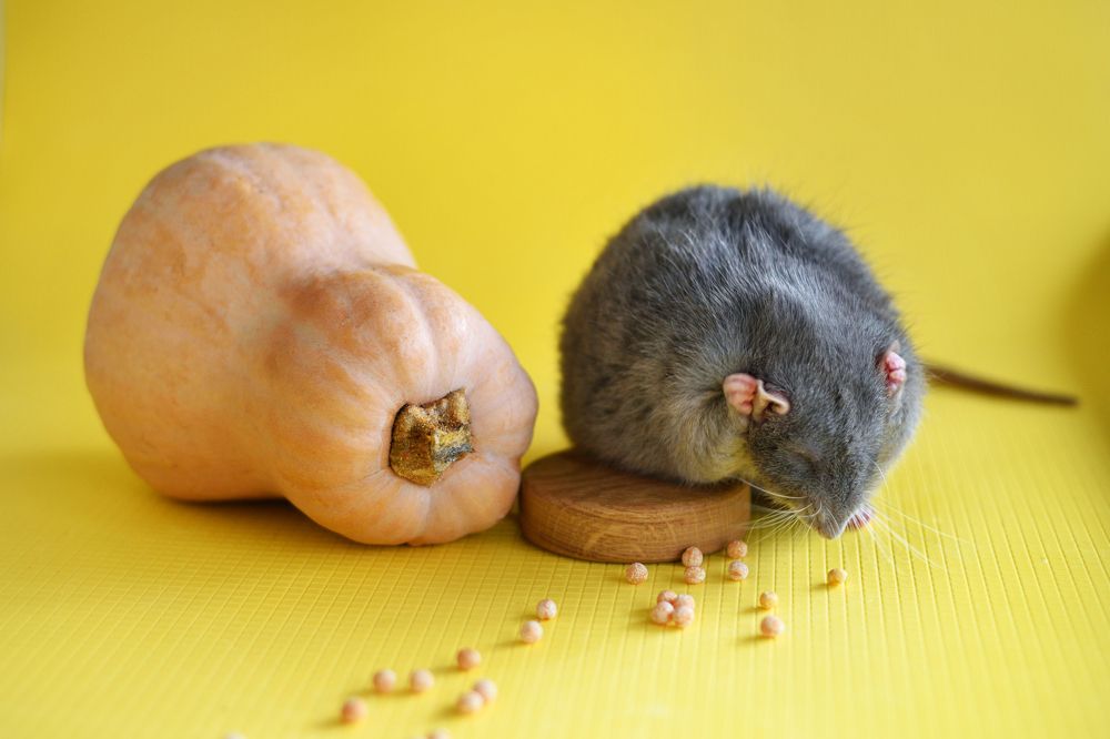 Photograph by Оксана Астрова