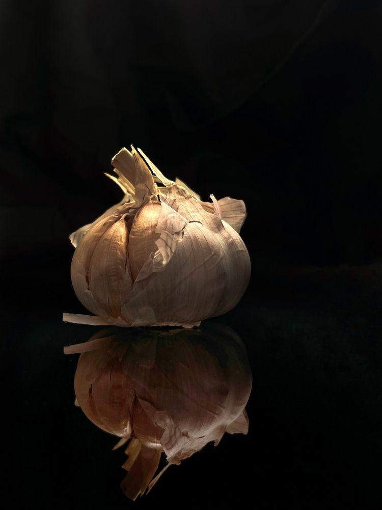 Photograph by Tina Baks
