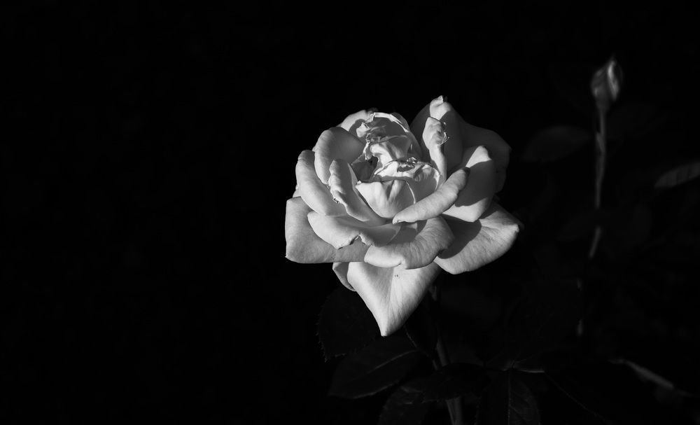 Photograph by Александр Халимов