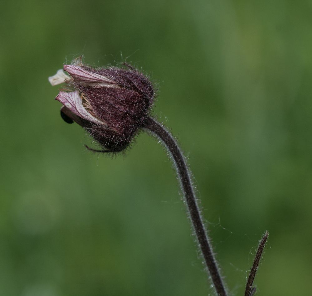 Photograph by Александр Халимов