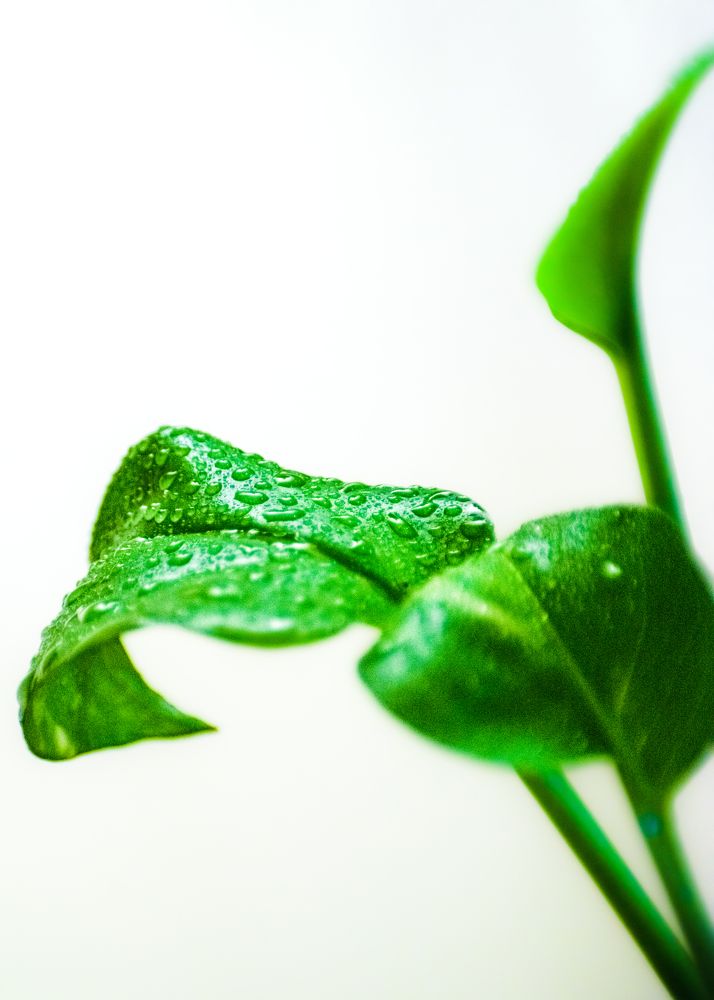 Photograph by kamel draa