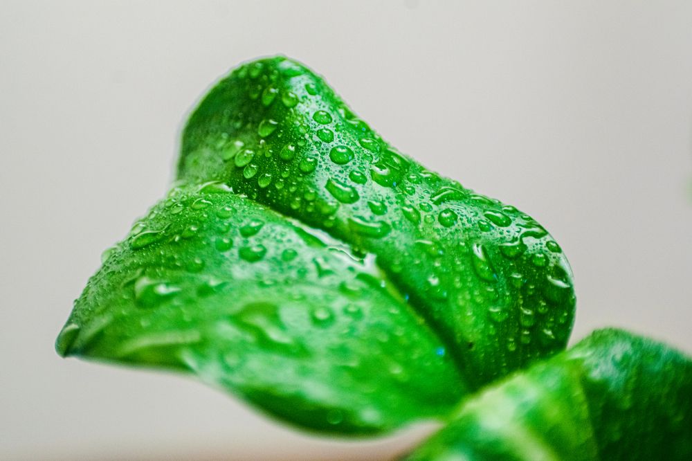 Photograph by kamel draa