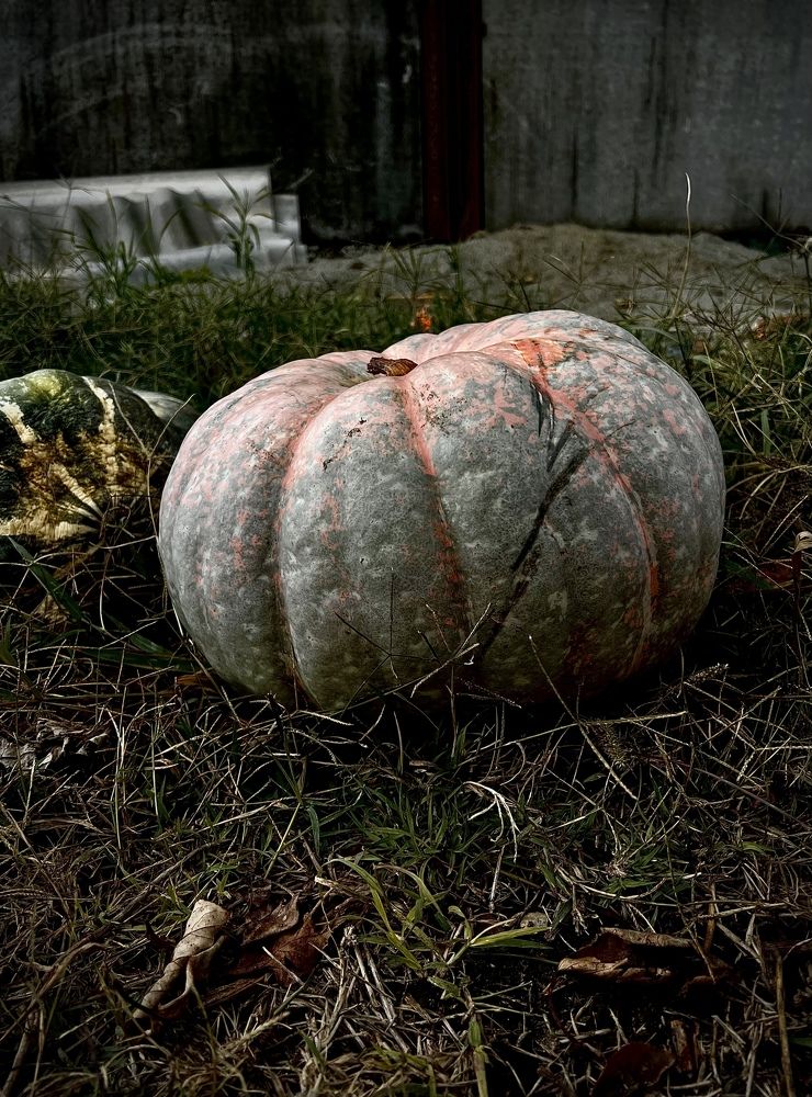 Photograph by Елена Громова