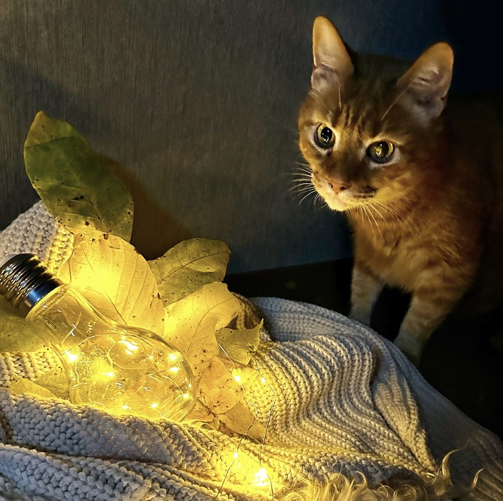 Photograph by Виктория Чернышева