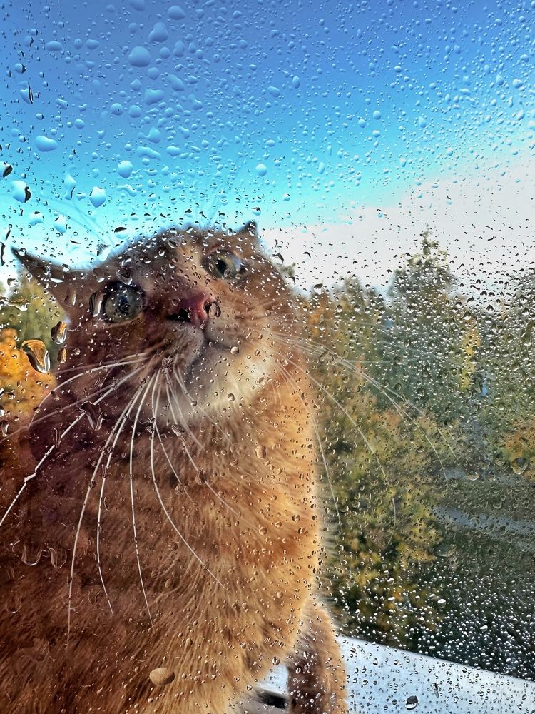 Photograph by Виктория Чернышева